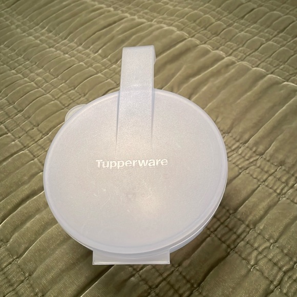 NWOT TUPPERWARE Forget Me Not Vegetable or Onion Hanging Keeper USA - Picture 1 of 9
